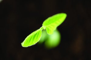 深入浅出聊聊FaaS